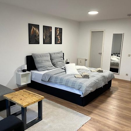 Studio An Der Elbe Mit Balkon, Kueche Und Netflix Dresden Exterior photo